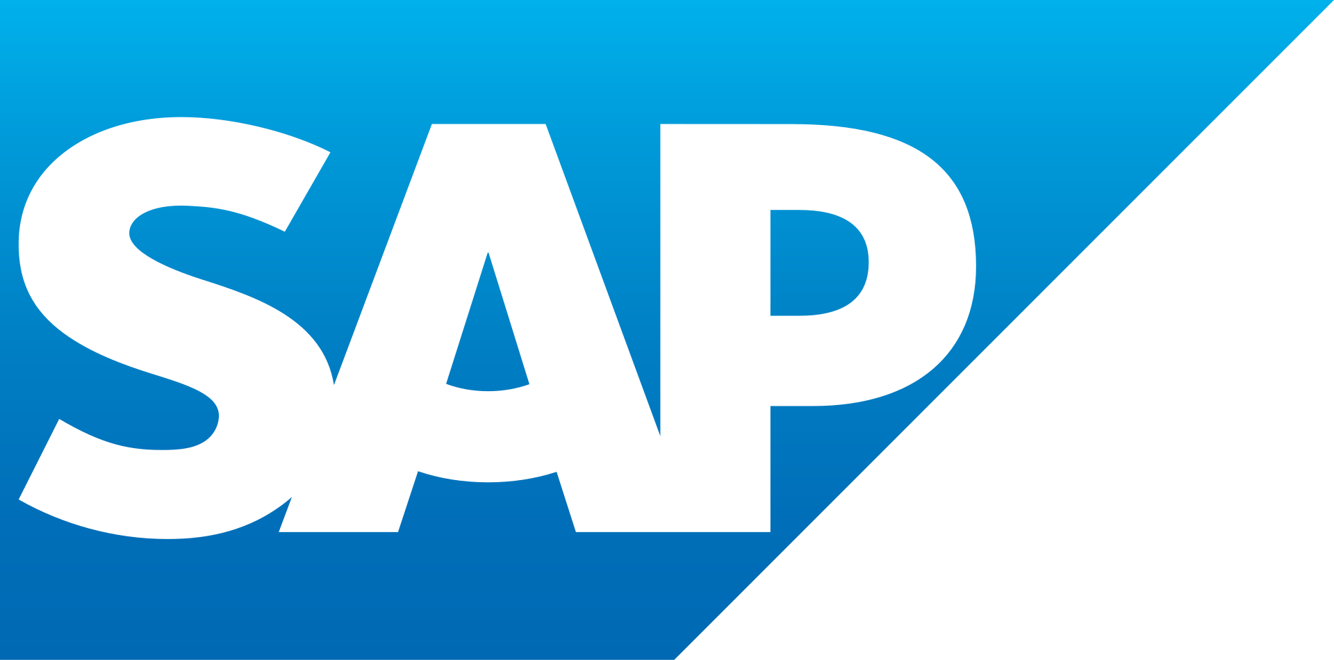 SAP Partner